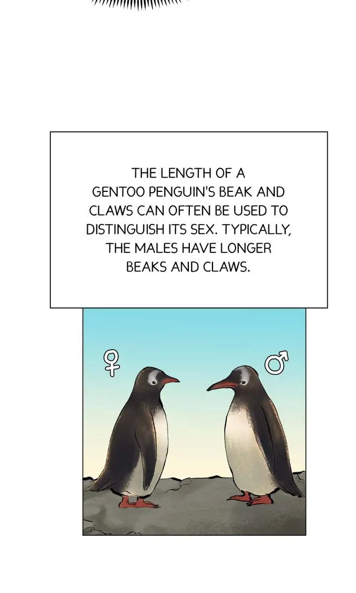 The Summer of Penguins Chapter 5 - page 14