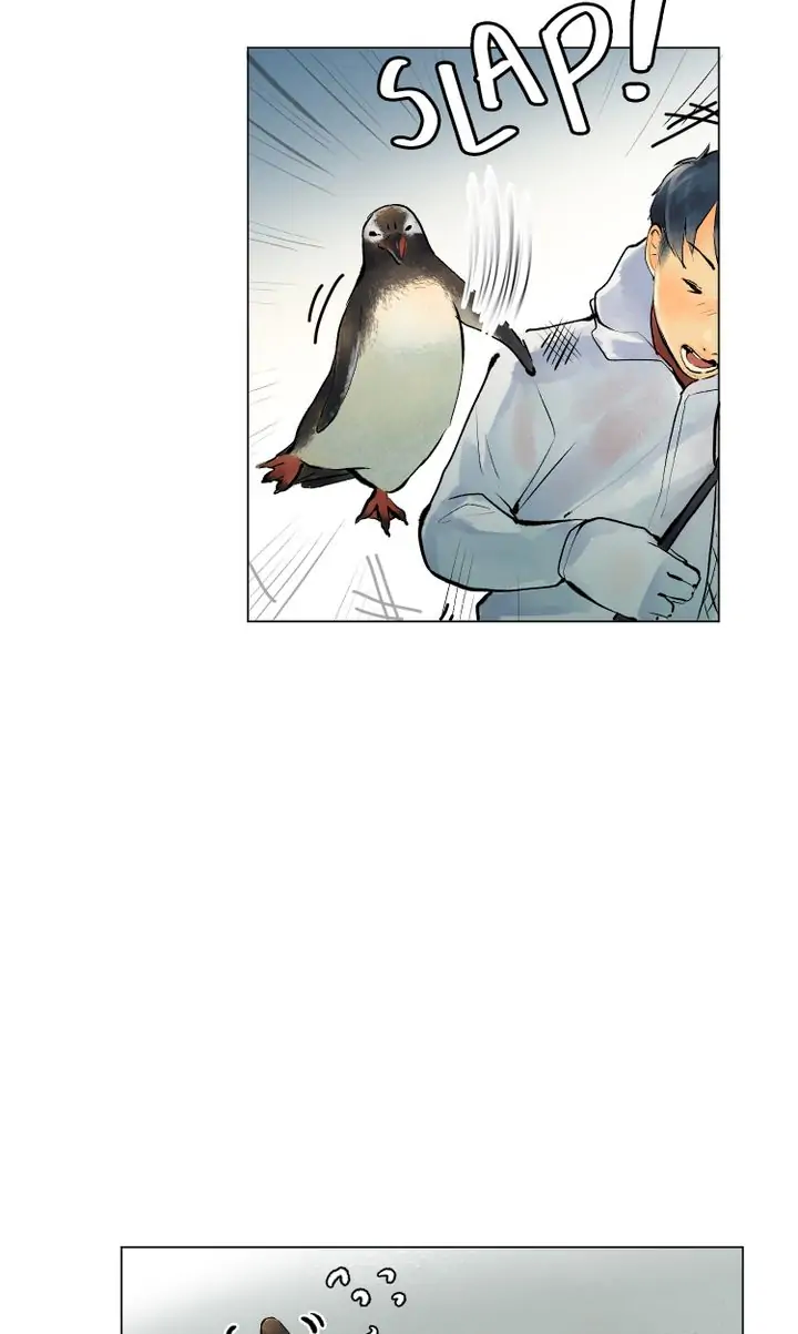 The Summer of Penguins Chapter 7 - page 4