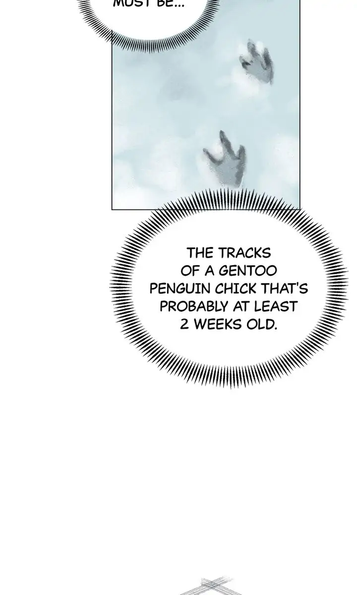 The Summer of Penguins Chapter 8 - page 46