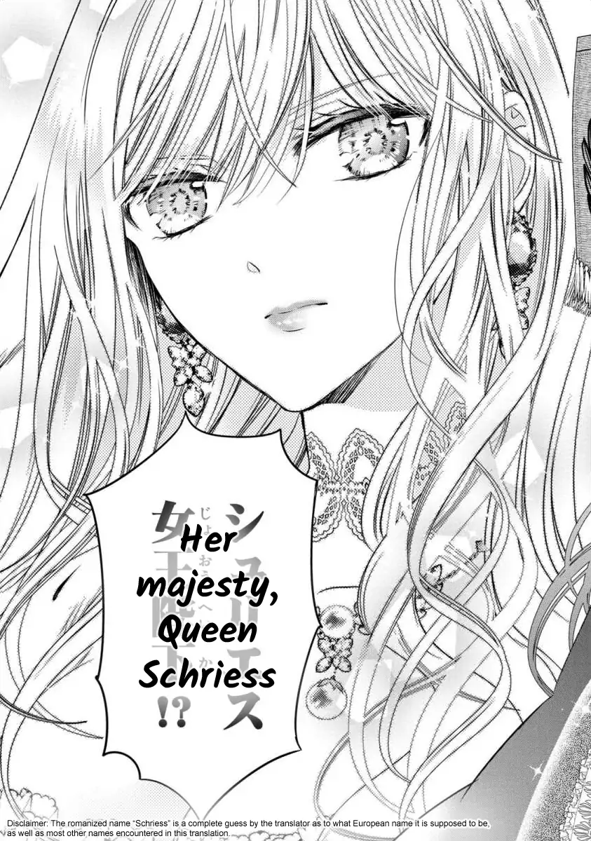 Majo Maid wa Joo no Himitsu wo Shitteiru Chapter 1 - page 11