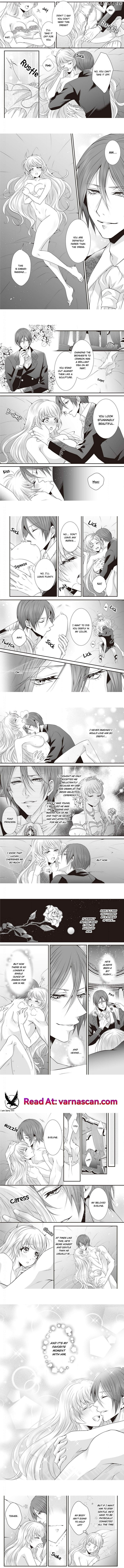 The Prince's Beloved Bride: Wet in the Morning, Wild in the Evening Chapter 15 - page 3