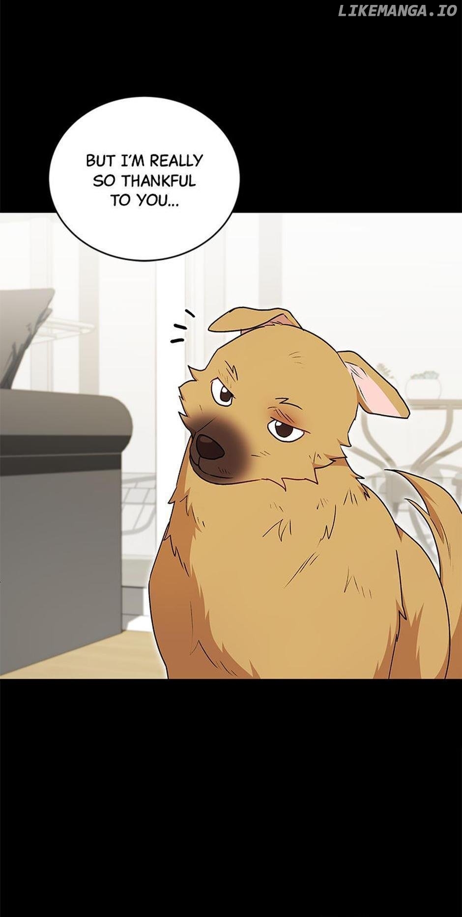Hello! Veterinarian! Chapter 18 - page 12
