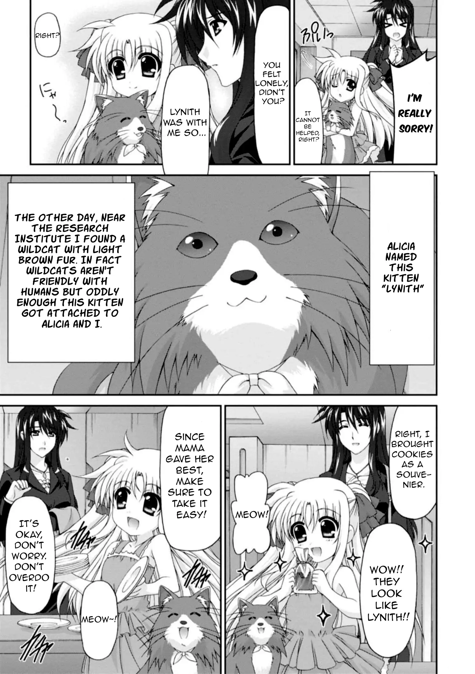 Original Chronicle Mahou Shoujo Lyrical Nanoha The 1st Chapter 12 - page 7