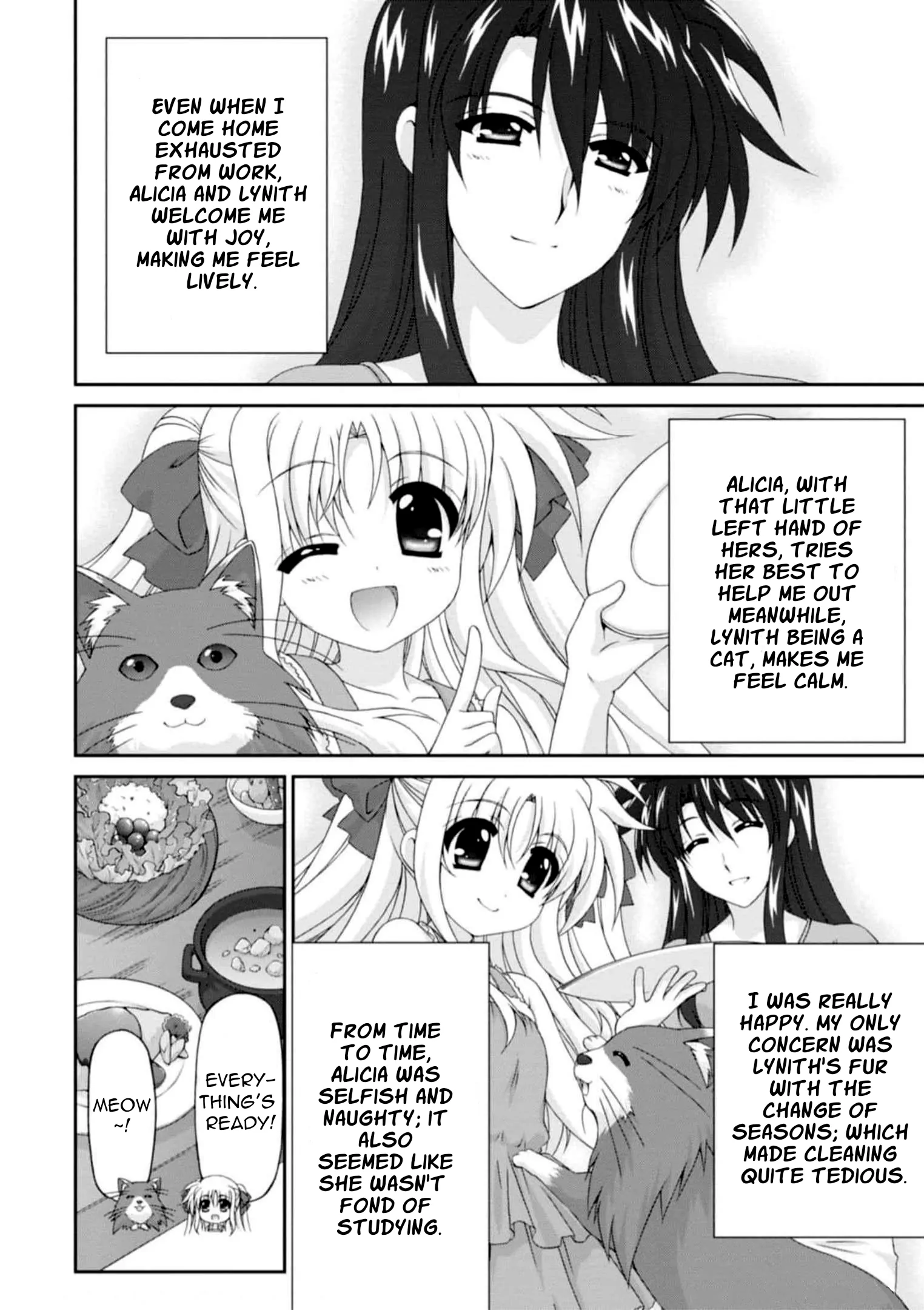 Original Chronicle Mahou Shoujo Lyrical Nanoha The 1st Chapter 12 - page 8