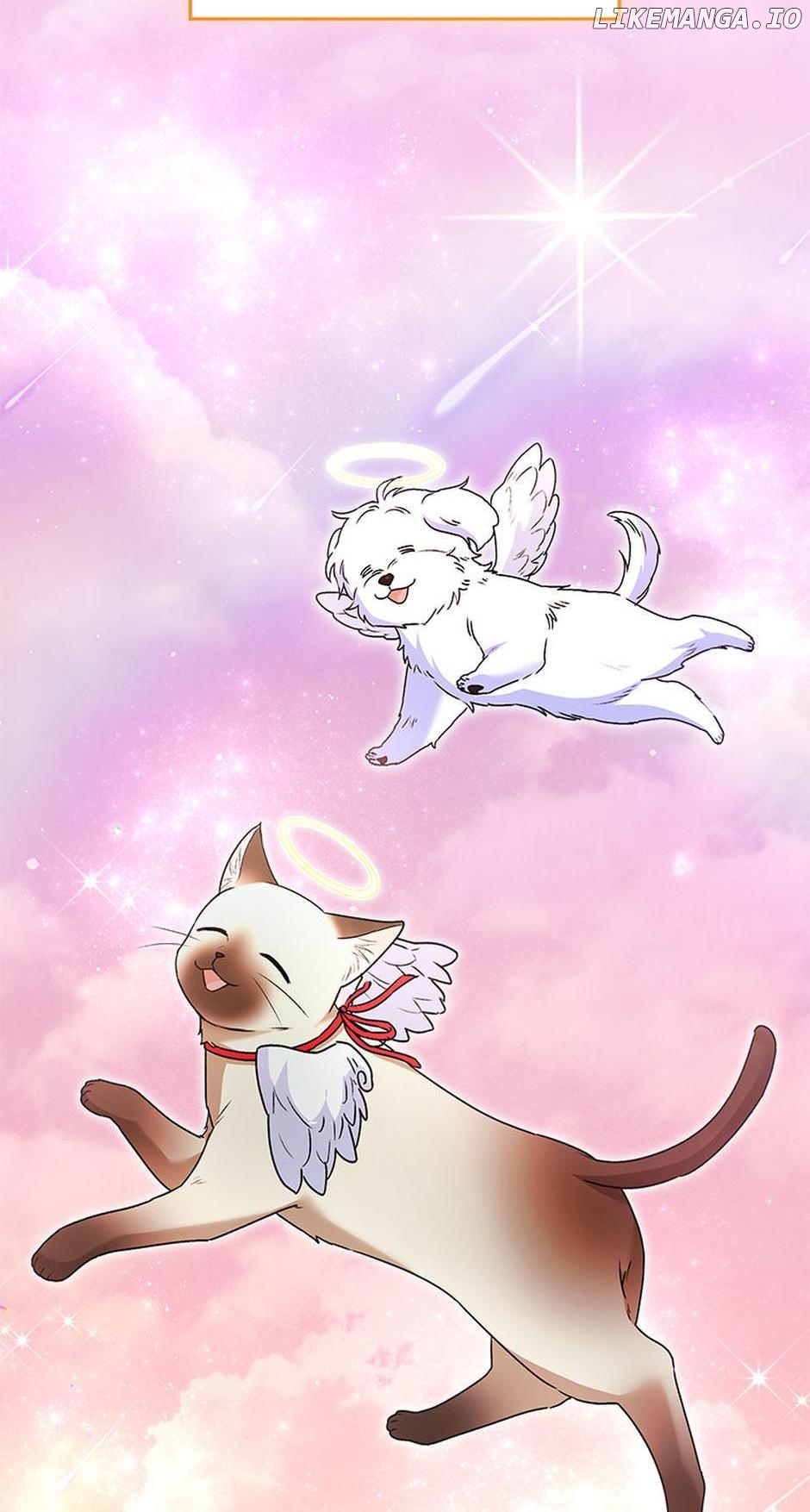 Hello! Veterinarian! Chapter 35 - page 78