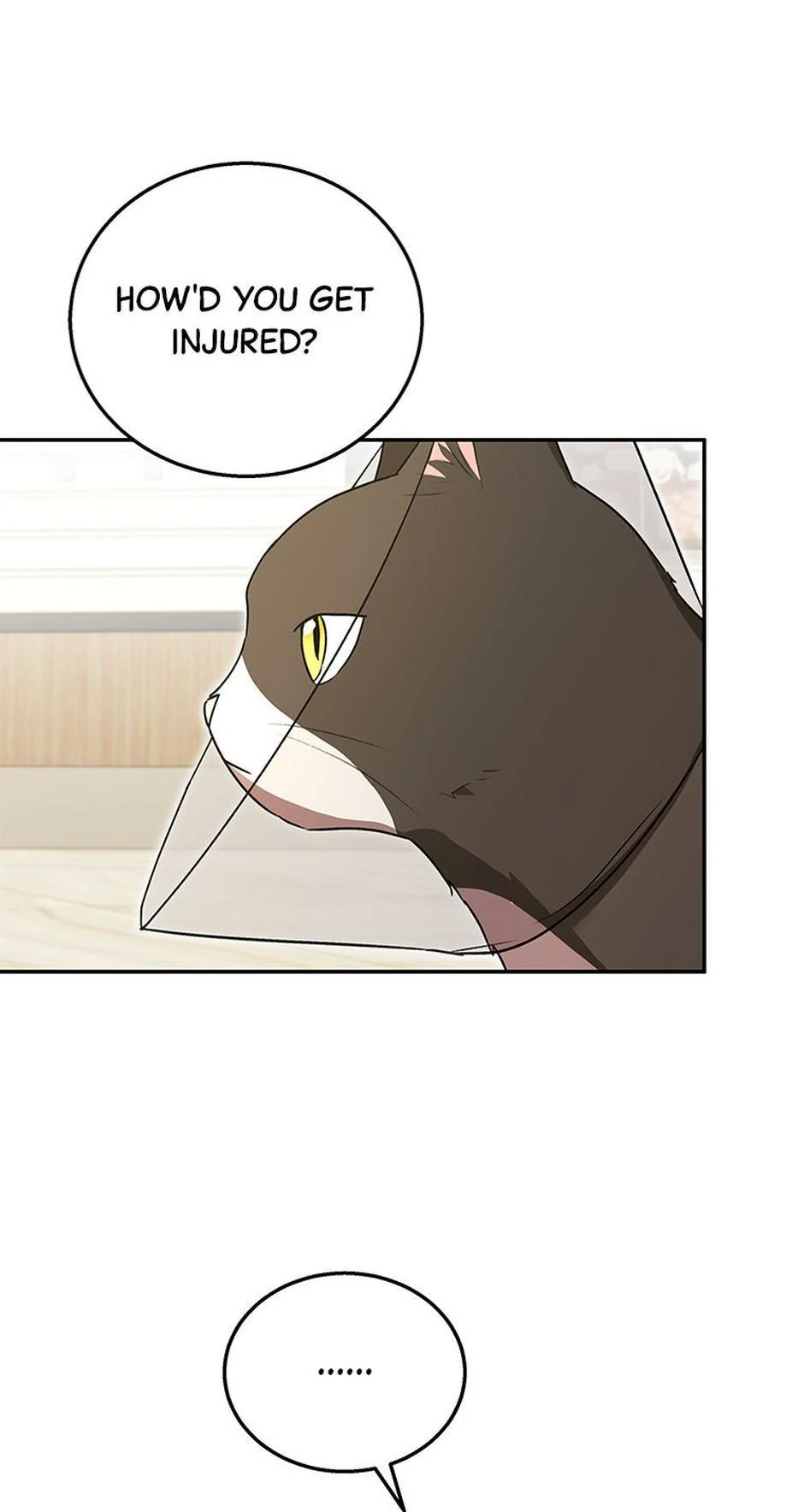 Hello! Veterinarian! Chapter 28 - page 36