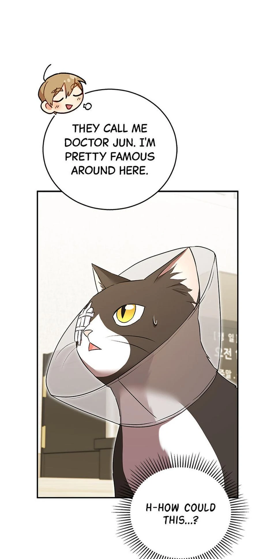 Hello! Veterinarian! Chapter 28 - page 6