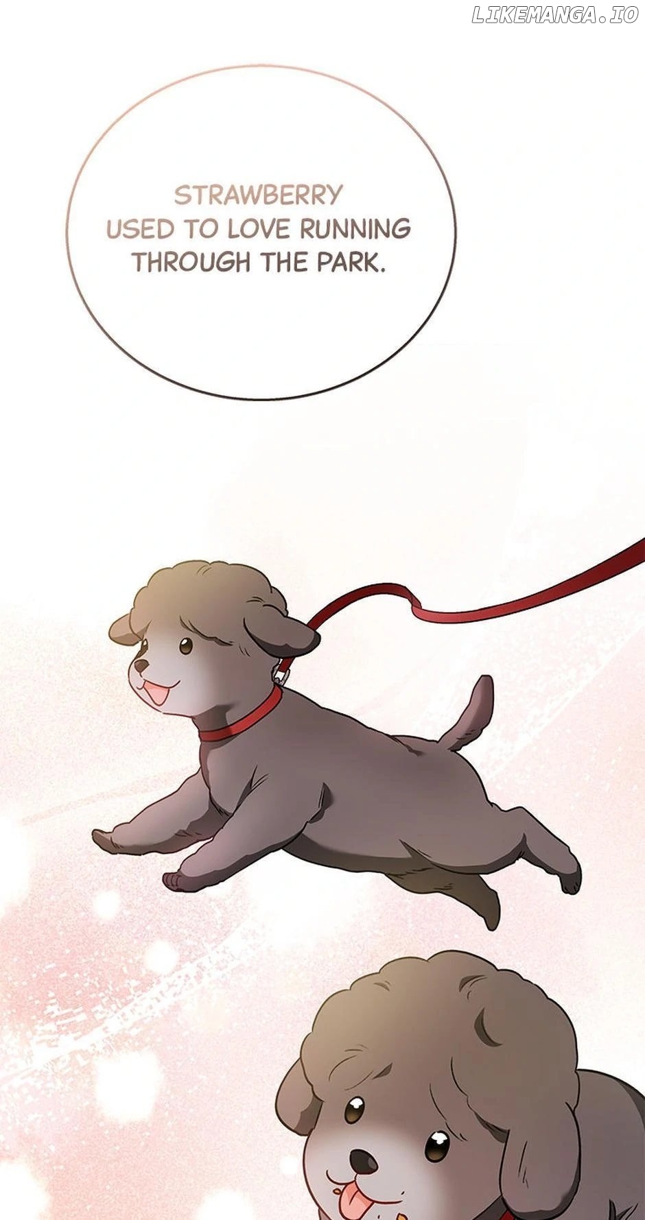 Hello! Veterinarian! Chapter 33 - page 8