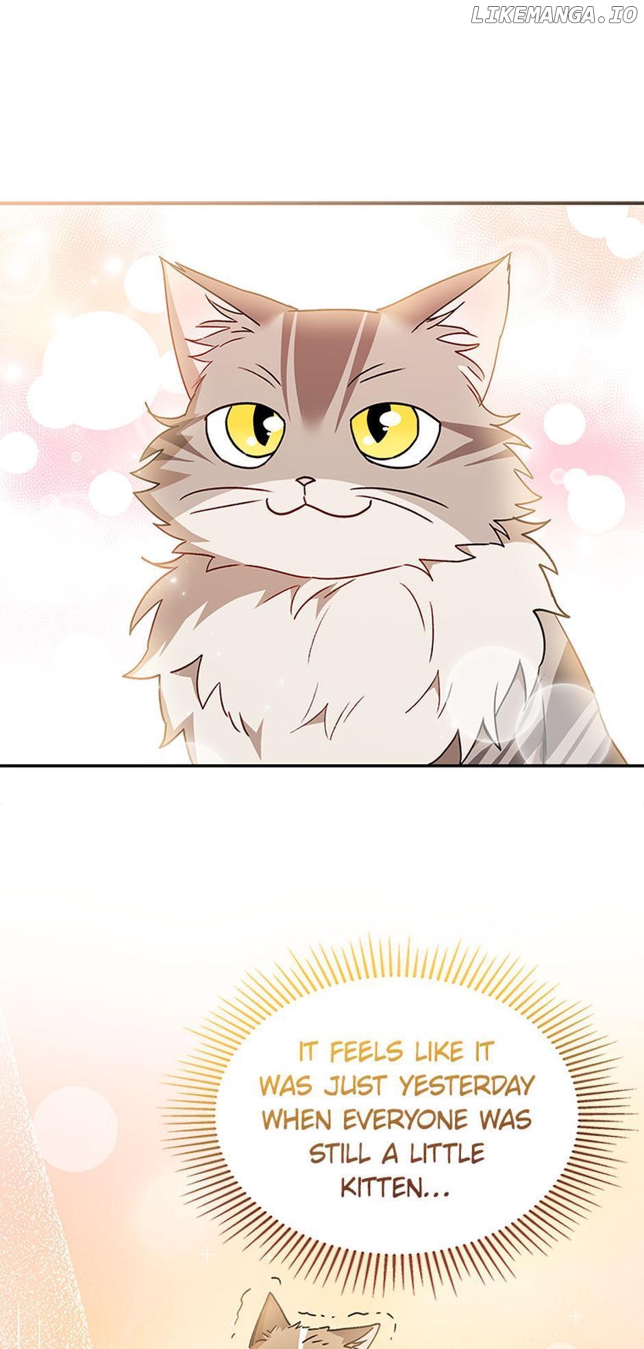 Hello! Veterinarian! Chapter 38 - page 42