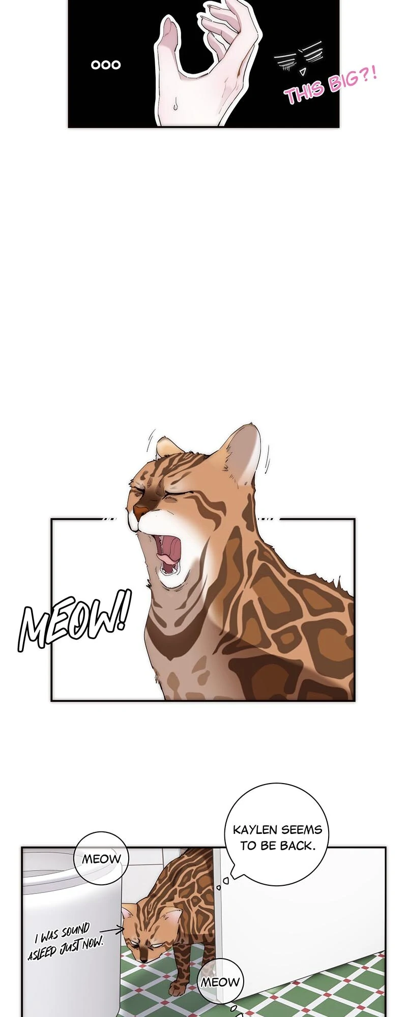 My Benefactor Is Not a Scholar Chapter 27 - page 24