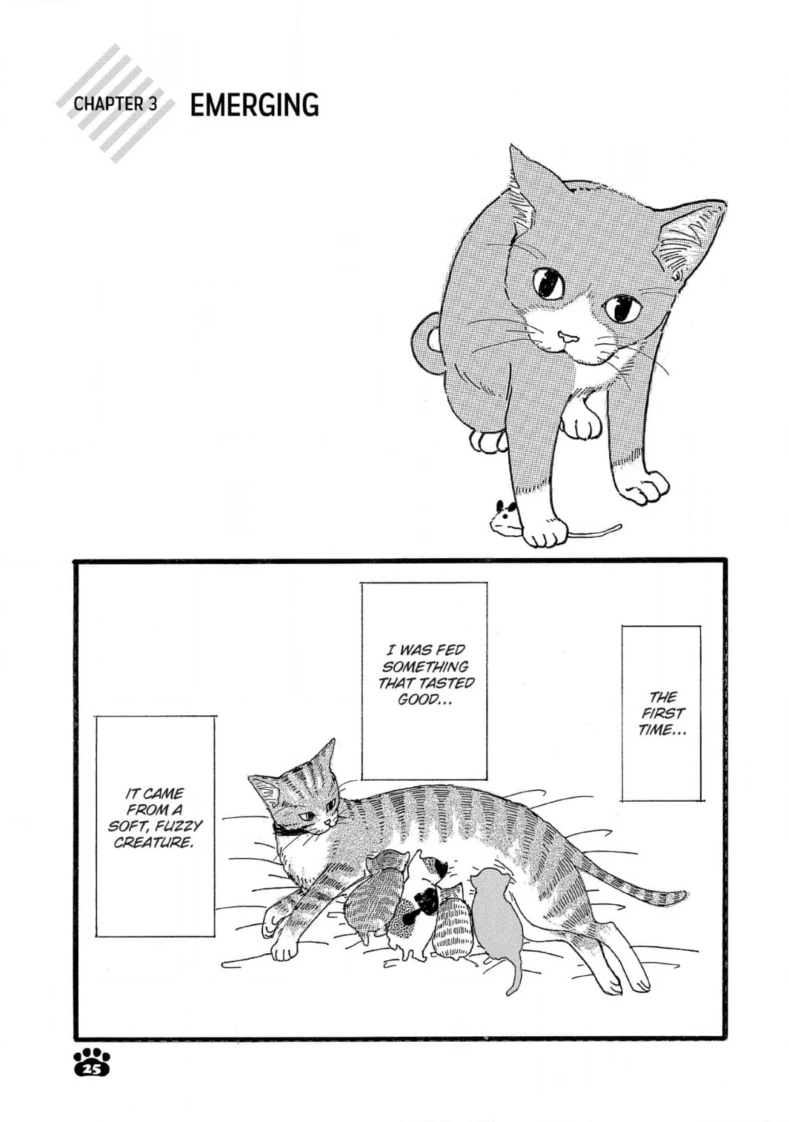 My First Cat Chapter 3 - page 1