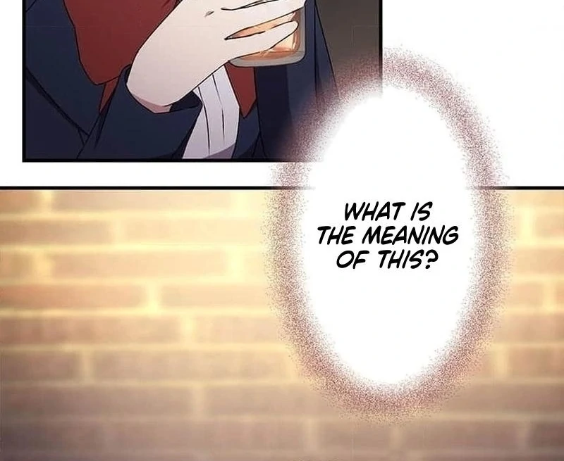 Mirror of Janus Chapter 9 - page 5