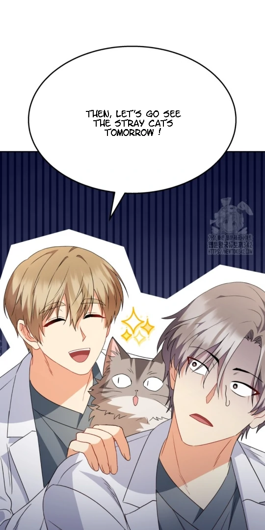 Hello! Veterinarian! Chapter 52 - page 43