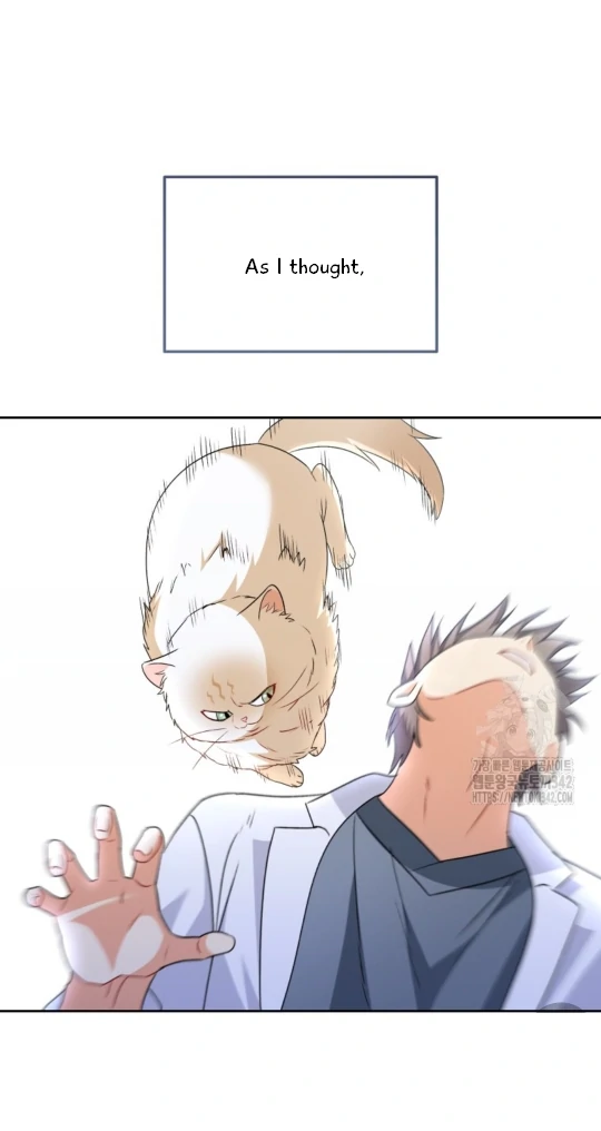 Hello! Veterinarian! Chapter 53 - page 23