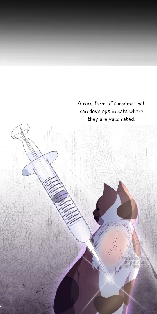 Hello! Veterinarian! Chapter 53 - page 8