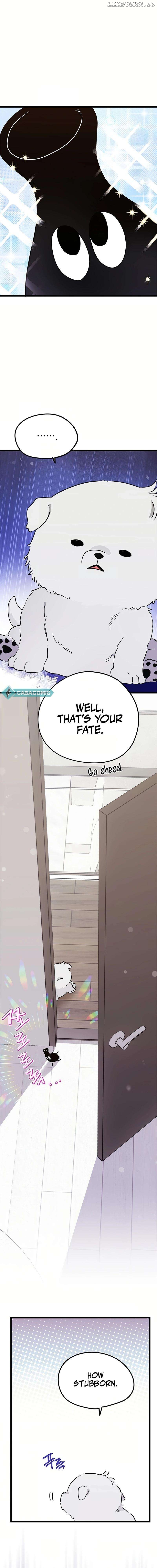 I Debuted as an Exorcist, Not an Idol Chapter 22 - page 15