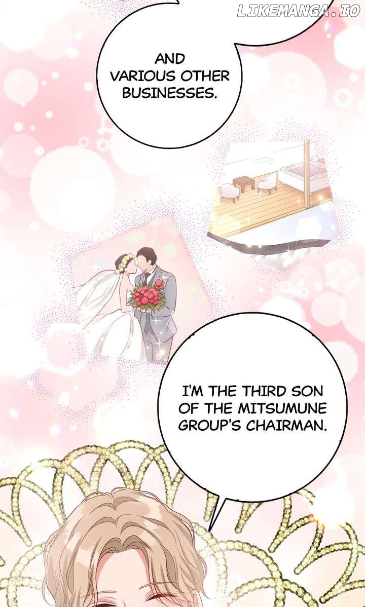 Business Marriage - If You Fall in Love, We'll Get a Divorce Chapter 19 - page 67