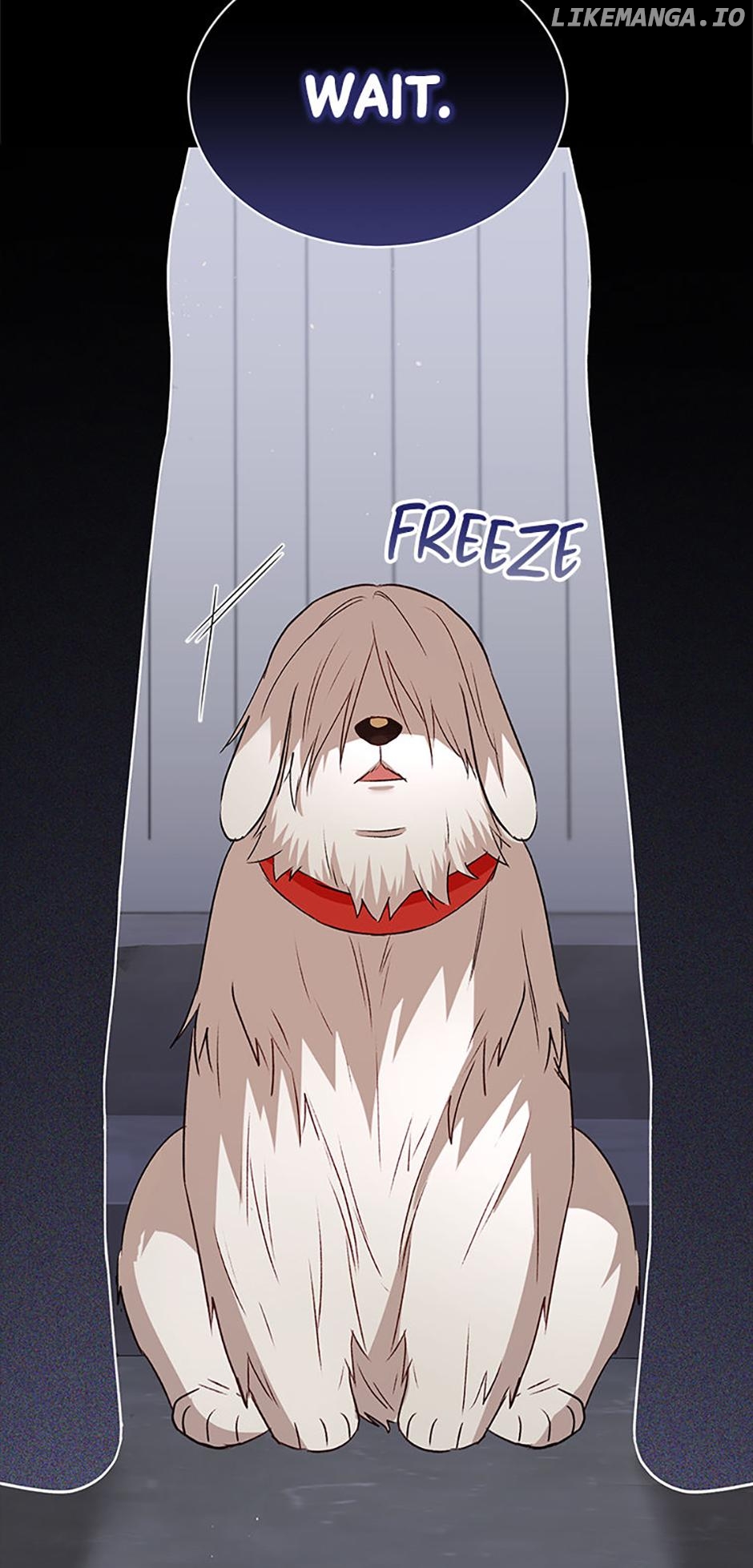 Hello! Veterinarian! Chapter 56 - page 11