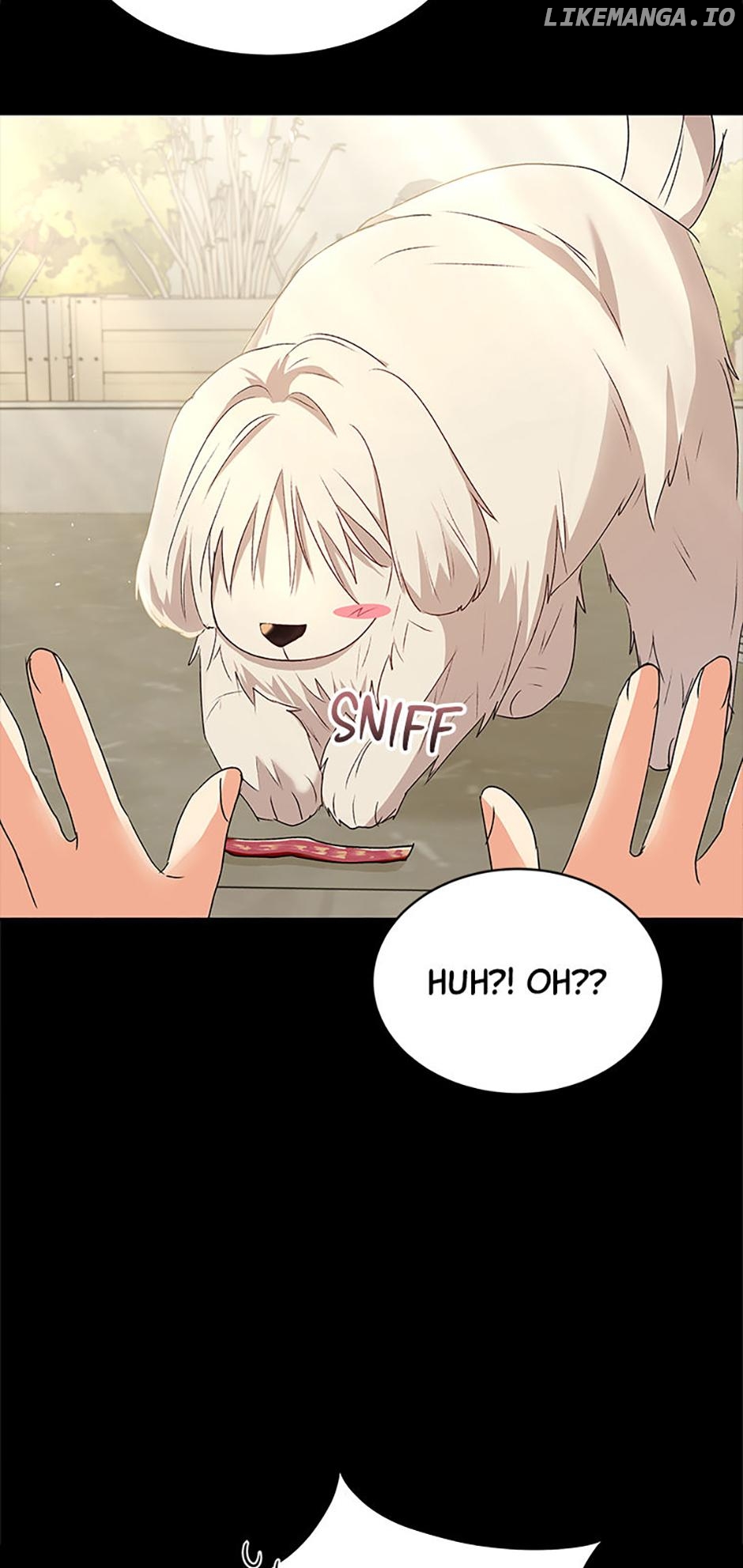 Hello! Veterinarian! Chapter 56 - page 3