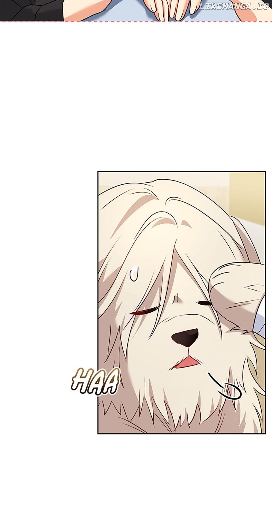 Hello! Veterinarian! Chapter 56 - page 56