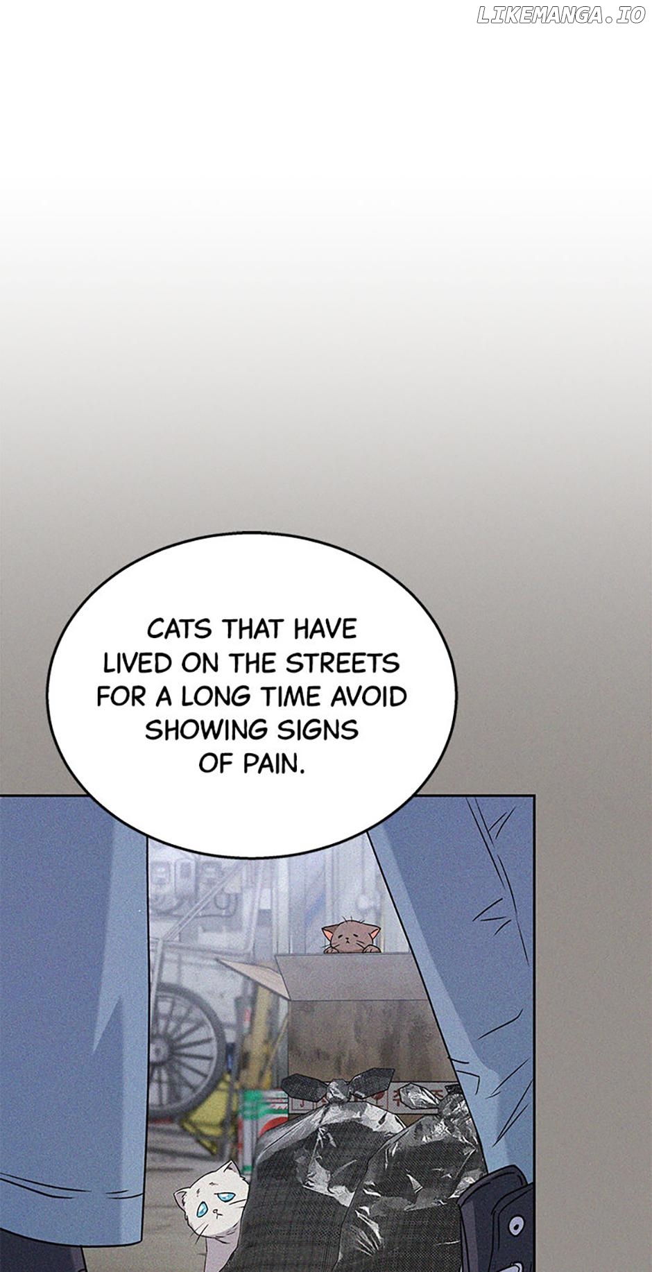 Hello! Veterinarian! Chapter 62 - page 22