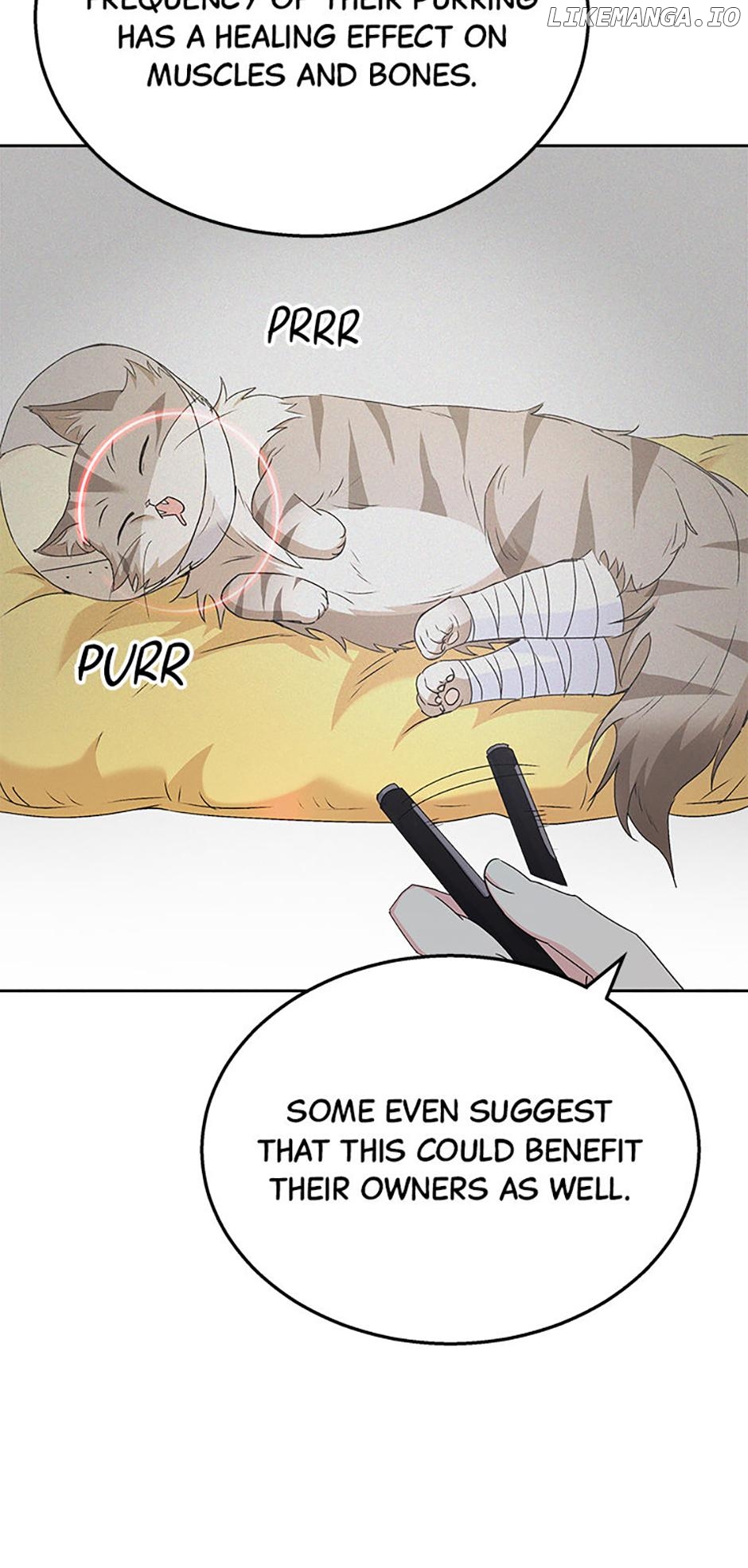 Hello! Veterinarian! Chapter 62 - page 6