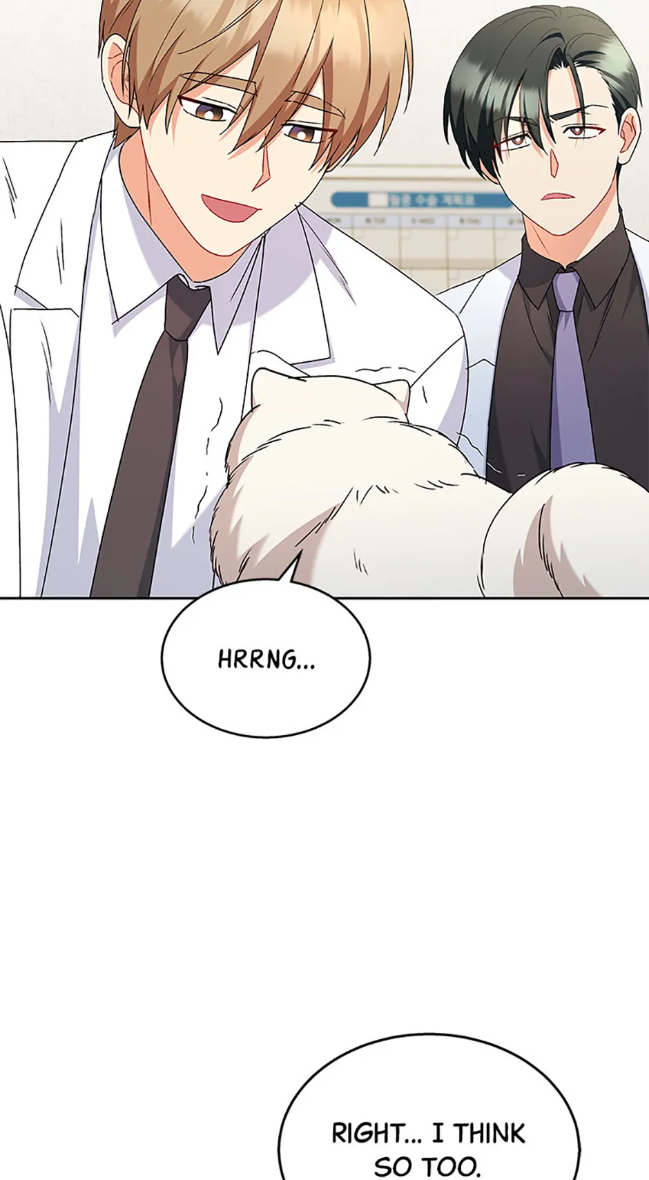Hello! Veterinarian! Chapter 63 - page 50