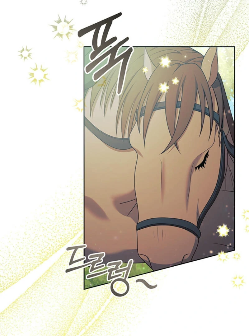 How to Extend a Marriage Contract Chapter 8 - page 33