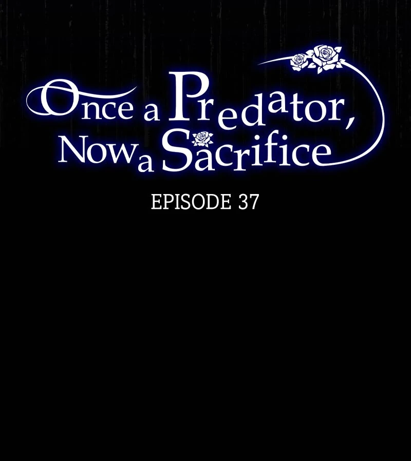 Once a Predator, Now a Sacrifice [Official] Chapter 37 - page 4