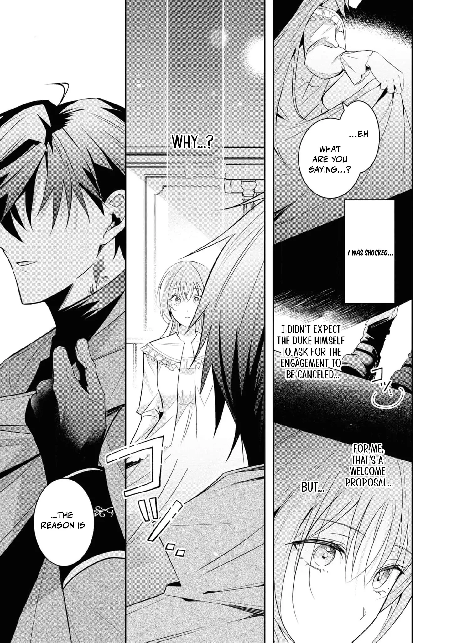 Nise Seijo da to Iwaremashita ga, Douyara Watashi ga Honmono no you desu ka? Chapter 5 - page 25