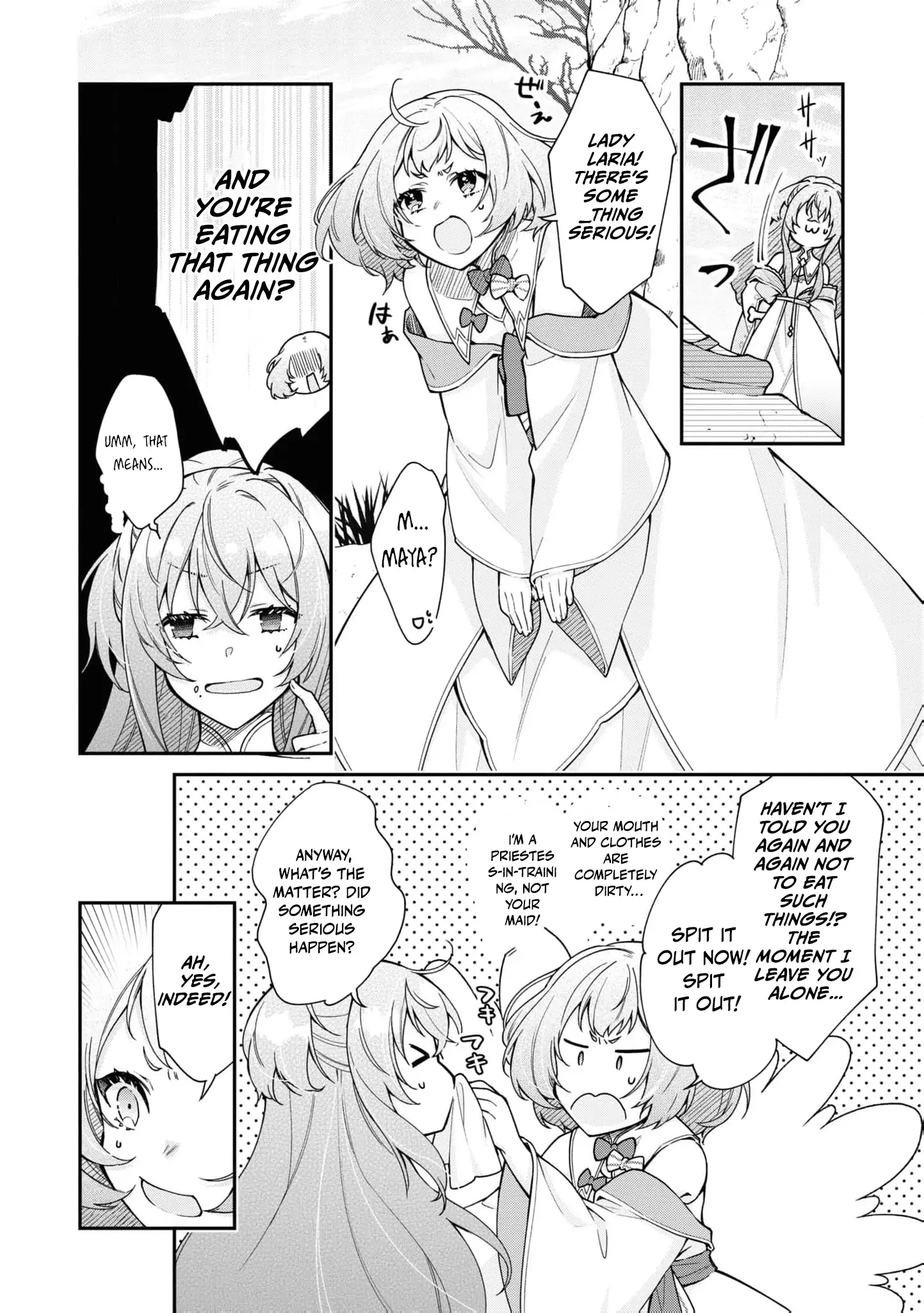 Nise Seijo da to Iwaremashita ga, Douyara Watashi ga Honmono no you desu ka? Chapter 6 - page 11