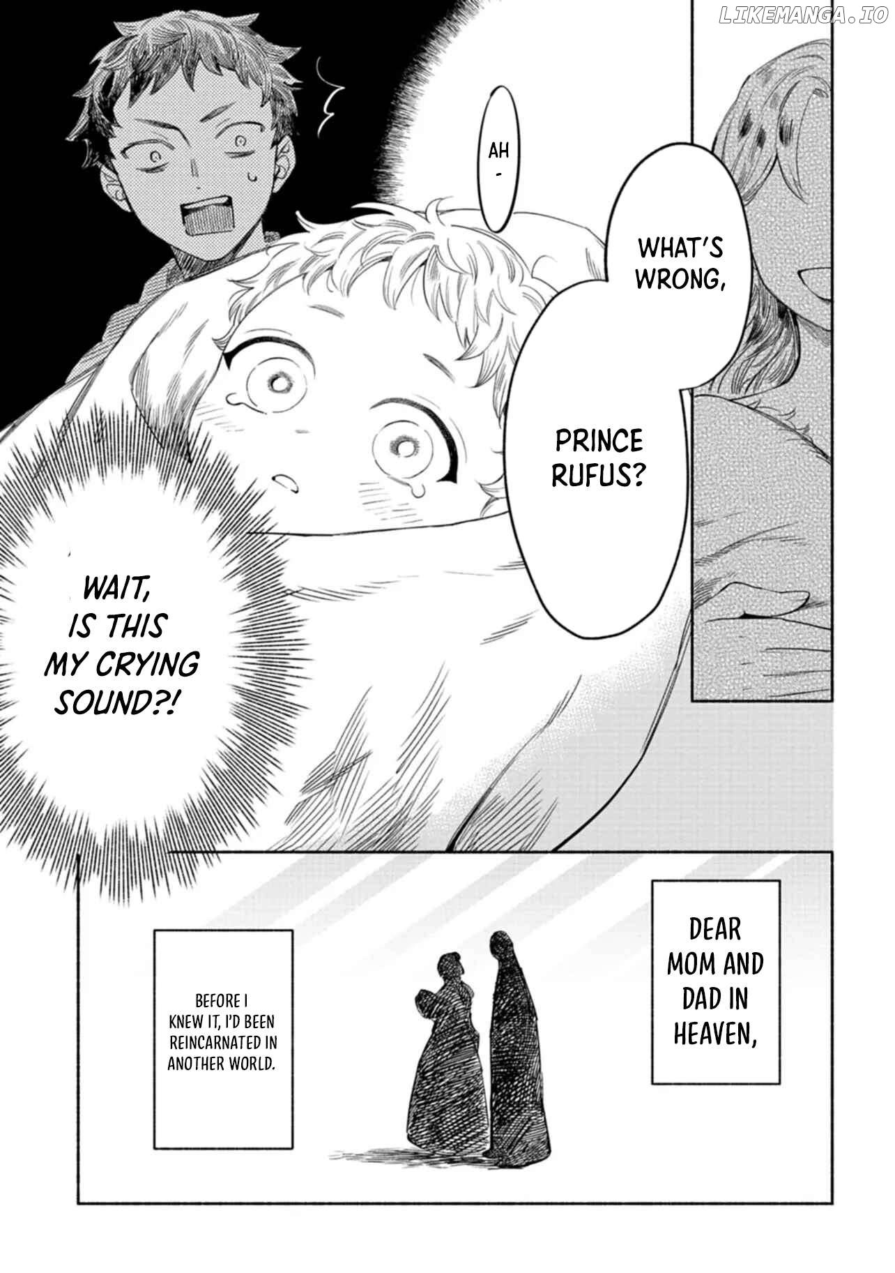 Shoukan Sukiru o Keishou shitanode, Kiwamete Miyou to Omoimasu! ~Mofumofu Mahou seibutsu to Isekai Life o Mankitsuchuu~ Chapter 1 - page 11